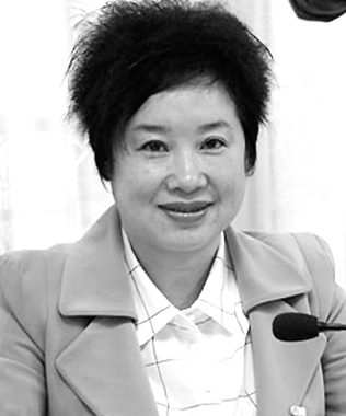 加快能源结构调整 提高电网资源配置能力