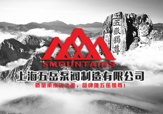 五岳安全阀,安全阀